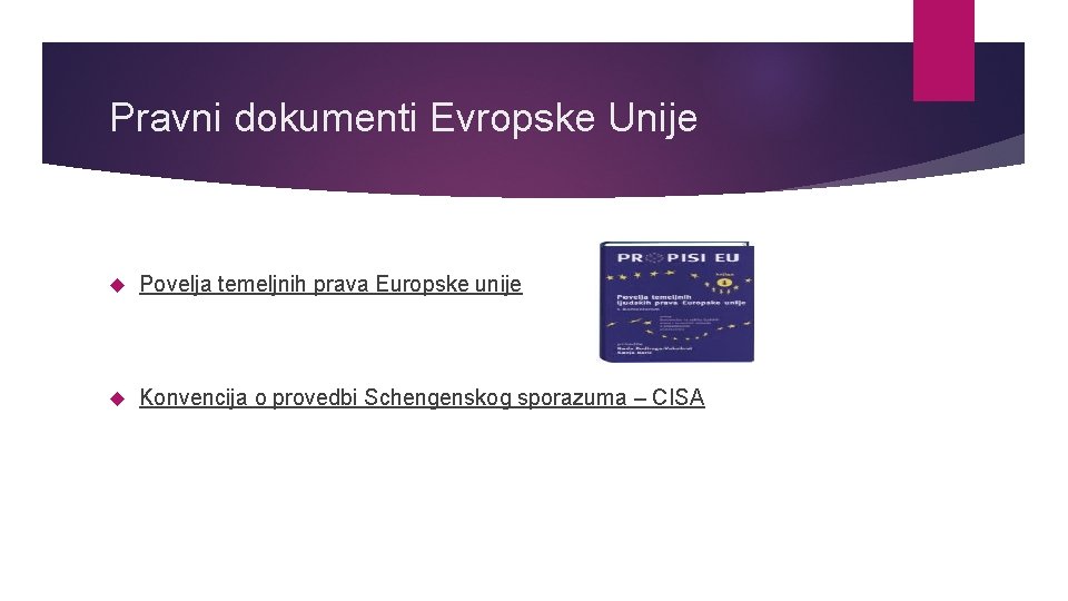 Pravni dokumenti Evropske Unije Povelja temeljnih prava Europske unije Konvencija o provedbi Schengenskog sporazuma