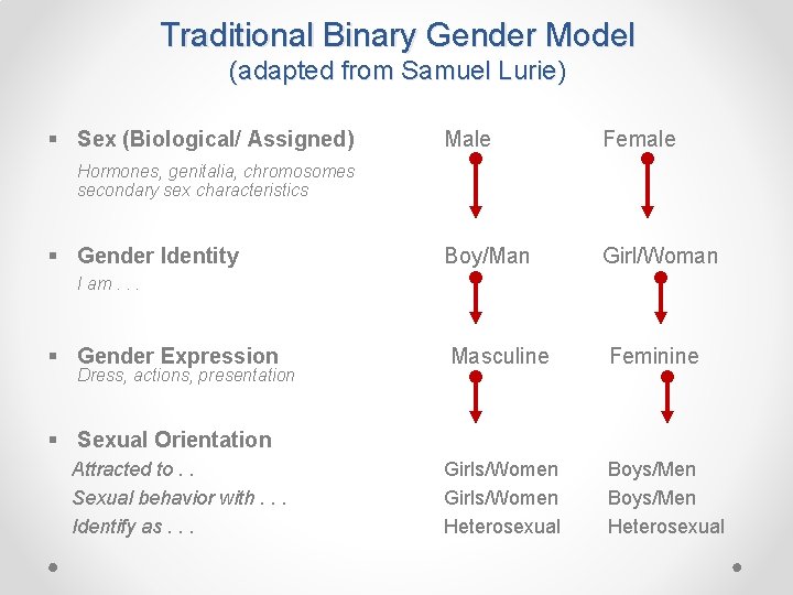Traditional Binary Gender Model (adapted from Samuel Lurie) § Sex (Biological/ Assigned) Male Female