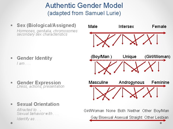 Authentic Gender Model (adapted from Samuel Lurie) § Sex (Biological/Assigned) Hormones, genitalia, chromosomes secondary