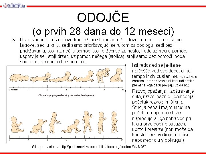 ODOJČE (o prvih 28 dana do 12 meseci) 3. Uspravni hod – diže glavu