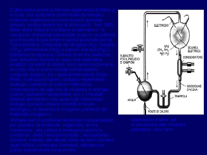 D’altra parte anche la famosa esperienza di Miller ci ricorda che sulla terra primordiale