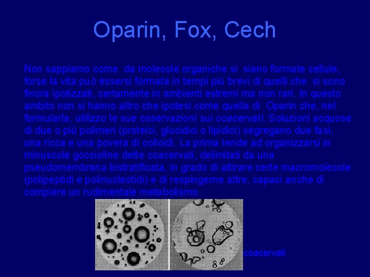 Oparin, Fox, Cech Non sappiamo come da molecole organiche si siano formate cellule, forse