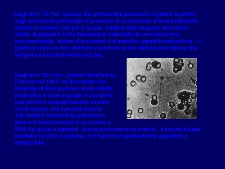 Negli anni ‘ 70 Fox ipotizzò che protocellule potessero originarsi a partire dagli aminoacidi