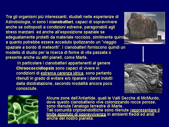 Tra gli organismi più interessanti, studiati nelle esperienze di Astrobiologia, vi sono i cianobatteri,