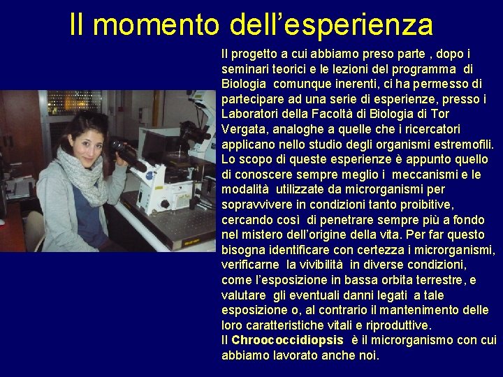 Il momento dell’esperienza Il progetto a cui abbiamo preso parte , dopo i seminari