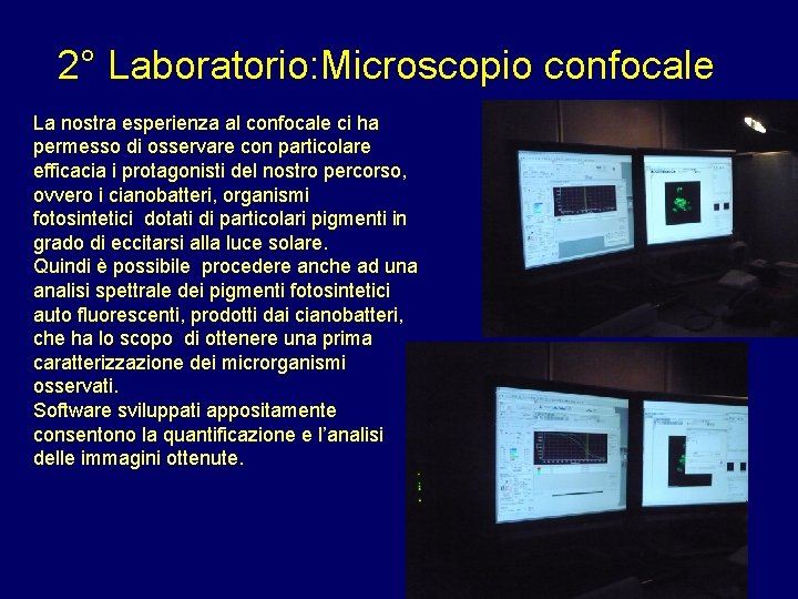 2° Laboratorio: Microscopio confocale La nostra esperienza al confocale ci ha permesso di osservare