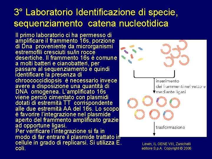 3° Laboratorio Identificazione di specie, sequenziamento catena nucleotidica Il primo laboratorio ci ha permesso