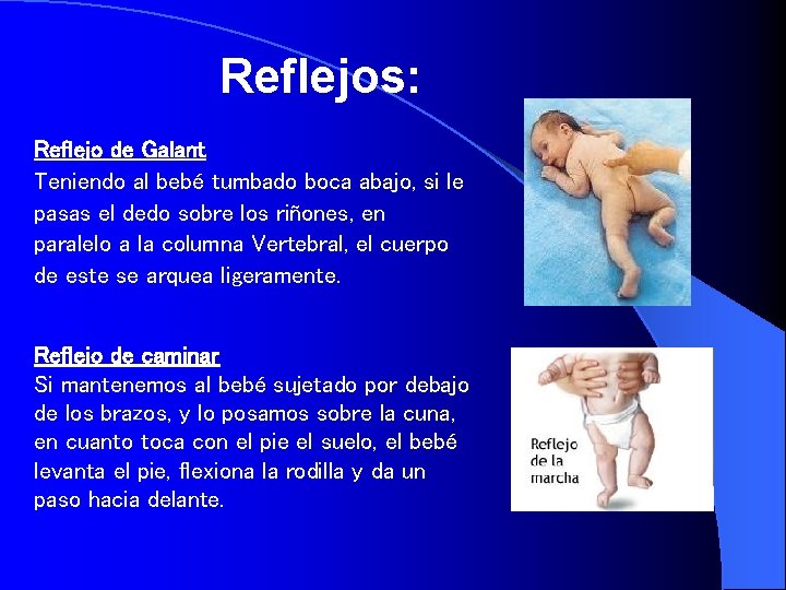 Reflejos: Reflejo de Galant Teniendo al bebé tumbado boca abajo, si le pasas el