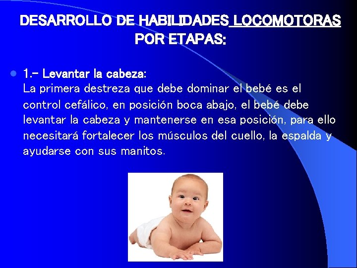 DESARROLLO DE HABILIDADES LOCOMOTORAS POR ETAPAS: l 1. - Levantar la cabeza: La primera