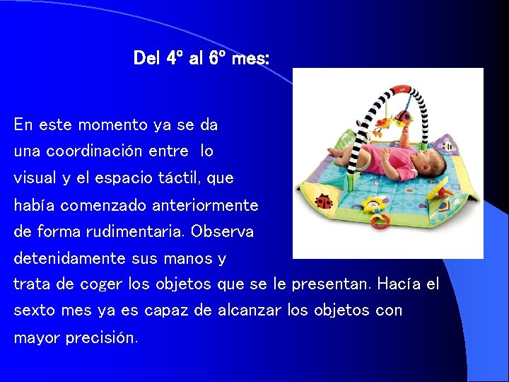 Del 4º al 6º mes: En este momento ya se da una coordinación entre