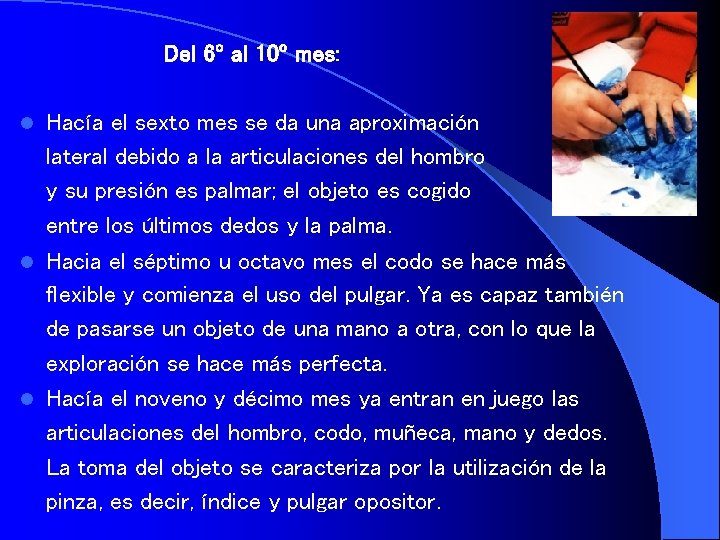 Del 6º al 10º mes: Hacía el sexto mes se da una aproximación lateral