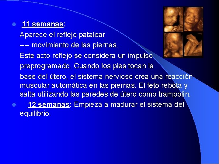  11 semanas: Aparece el reflejo patalear ---- movimiento de las piernas. Este acto