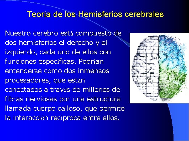 Teoría de los Hemisferios cerebrales Nuestro cerebro está compuesto de dos hemisferios el derecho