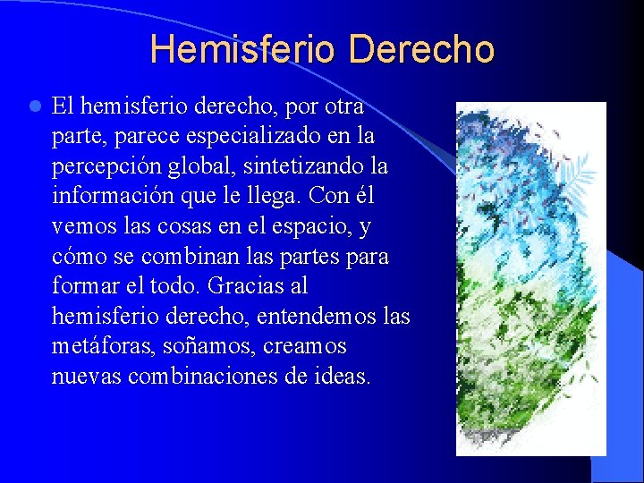 Hemisferio Derecho l El hemisferio derecho, por otra parte, parece especializado en la percepción