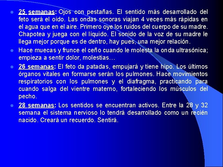 25 semanas: Ojos con pestañas. El sentido más desarrollado del feto será el oído.