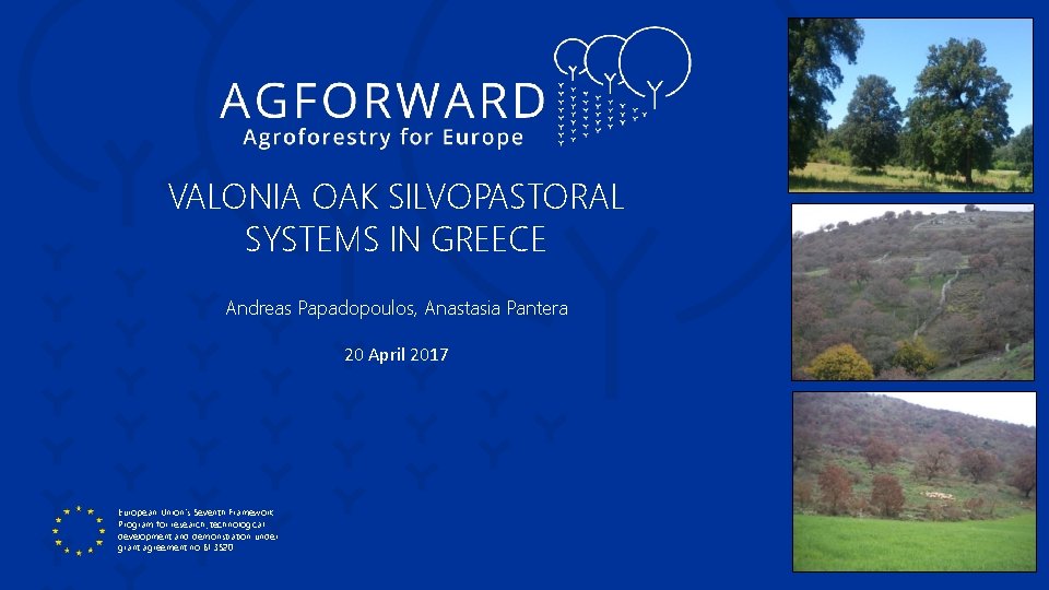 VALONIA OAK SILVOPASTORAL SYSTEMS IN GREECE Andreas Papadopoulos, Anastasia Pantera 20 April 2017 European