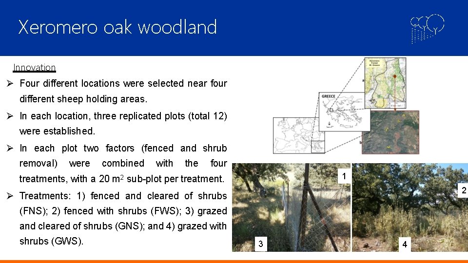Xeromero oak woodland Innovation Four different locations were selected near four different sheep holding