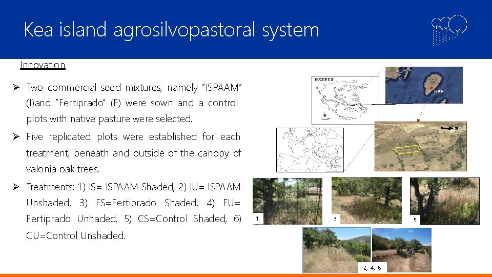 Kea island agrosilvopastoral system Innovation GREECE Two commercial seed mixtures, namely “ISPAAM” (I)and “Fertiprado”