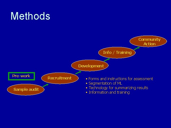 Methods Community Action Info / Training Development Pre-work Sample audit Recruitment • • Forms