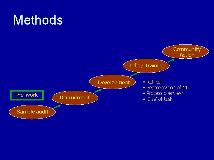 Methods Community Action Info / Training Development Pre-work Sample audit Recruitment • • Roll