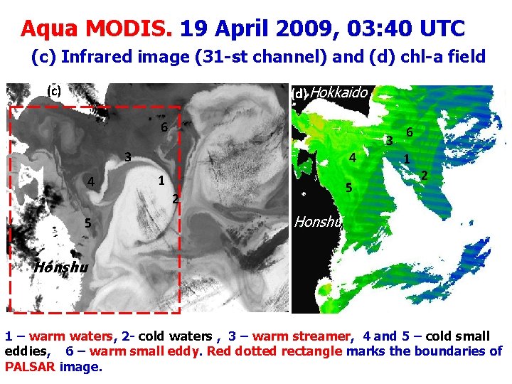 Aqua MODIS. 19 April 2009, 03: 40 UTC (c) Infrared image (31 -st channel)