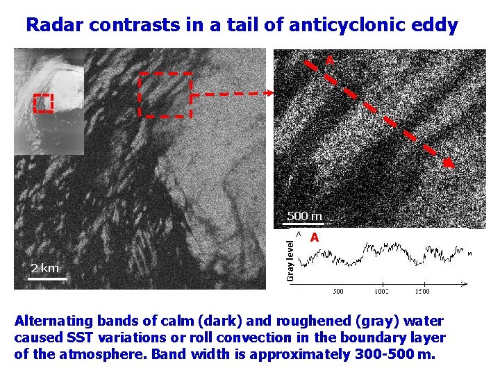 Radar contrasts in a tail of anticyclonic eddy A 2 km Gray level 500