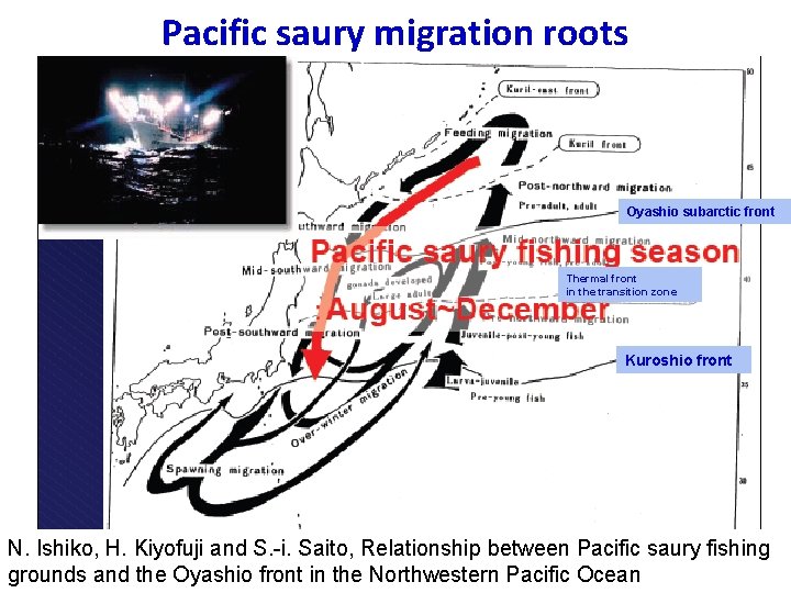 Pacific saury migration roots Oyashio subarctic front Thermal front in the transition zone Kuroshio