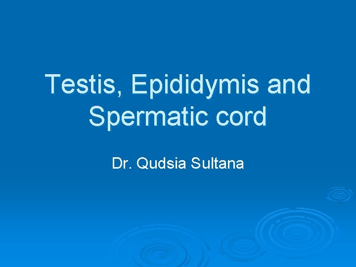 Testis, Epididymis and Spermatic cord Dr. Qudsia Sultana Testis, Epididymis and Spermatic cord Dr. Qudsia Sultana