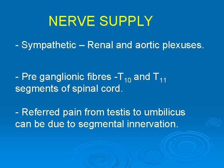 NERVE SUPPLY - Sympathetic – Renal and aortic plexuses. - Pre ganglionic fibres -T NERVE SUPPLY - Sympathetic – Renal and aortic plexuses. - Pre ganglionic fibres -T