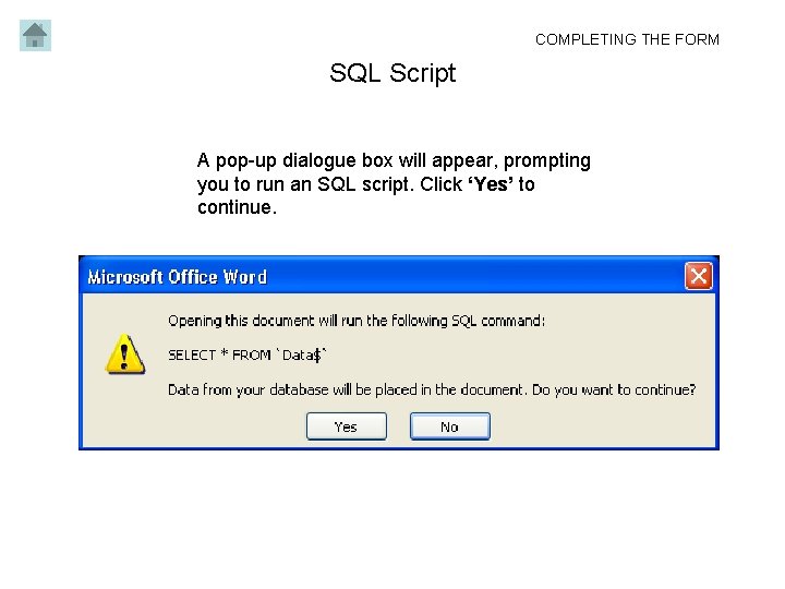 COMPLETING THE FORM SQL Script A pop-up dialogue box will appear, prompting you to