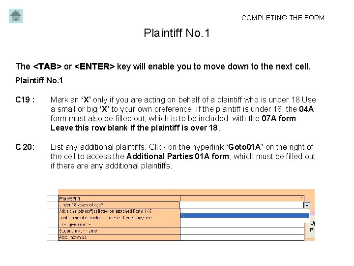 COMPLETING THE FORM Plaintiff No. 1 The <TAB> or <ENTER> key will enable you