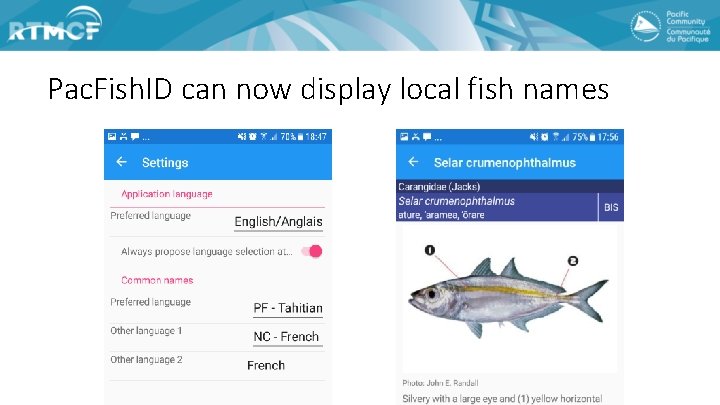 Pac. Fish. ID can now display local fish names 