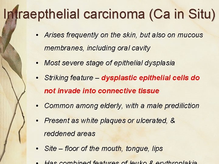 Intraepthelial carcinoma (Ca in Situ) • Arises frequently on the skin, but also on