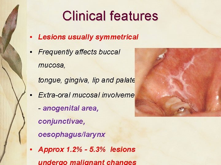 Clinical features • Lesions usually symmetrical • Frequently affects buccal mucosa, tongue, gingiva, lip