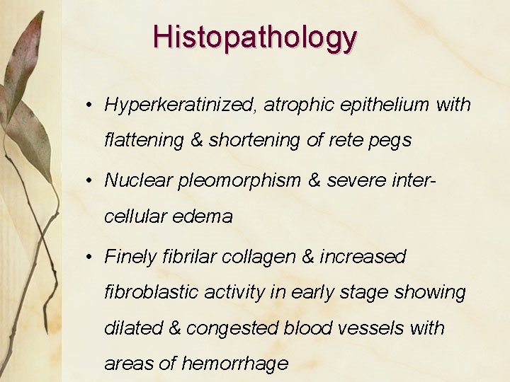Histopathology • Hyperkeratinized, atrophic epithelium with flattening & shortening of rete pegs • Nuclear