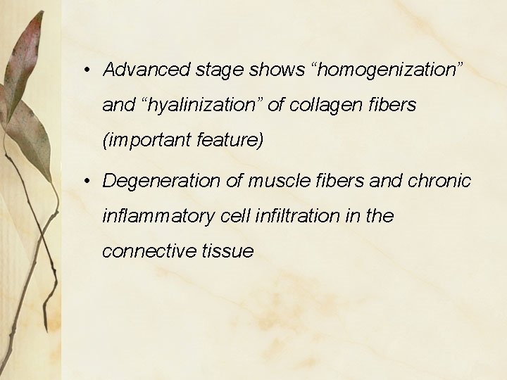  • Advanced stage shows “homogenization” and “hyalinization” of collagen fibers (important feature) •