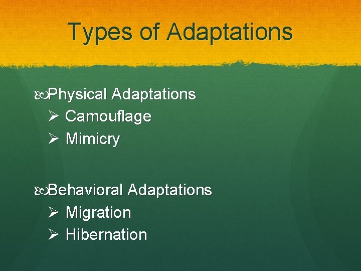 Types of Adaptations Physical Adaptations Ø Camouflage Ø Mimicry Behavioral Adaptations Ø Migration Ø
