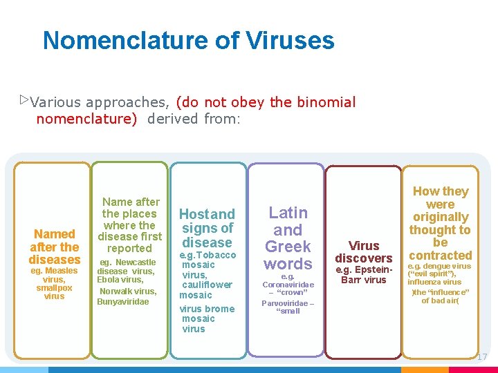 Nomenclature of Viruses ▷Various approaches, (do not obey the binomial nomenclature) derived from: Named Nomenclature of Viruses ▷Various approaches, (do not obey the binomial nomenclature) derived from: Named
