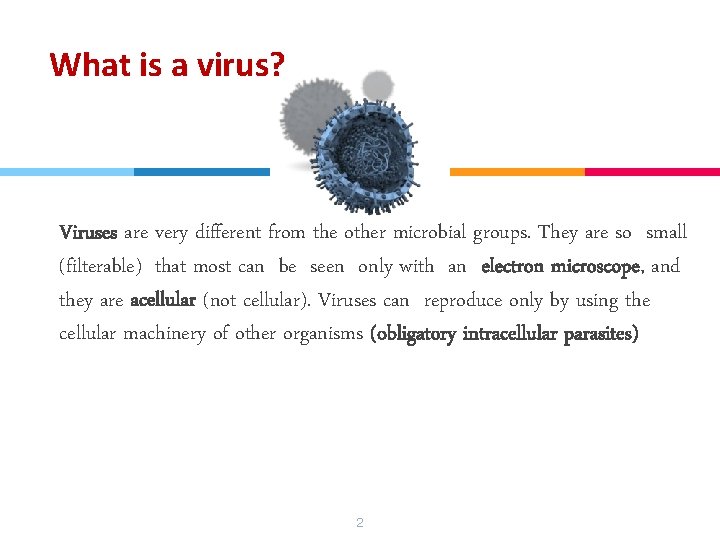 What is a virus? “ Viruses are very different from the other microbial groups. What is a virus? “ Viruses are very different from the other microbial groups.