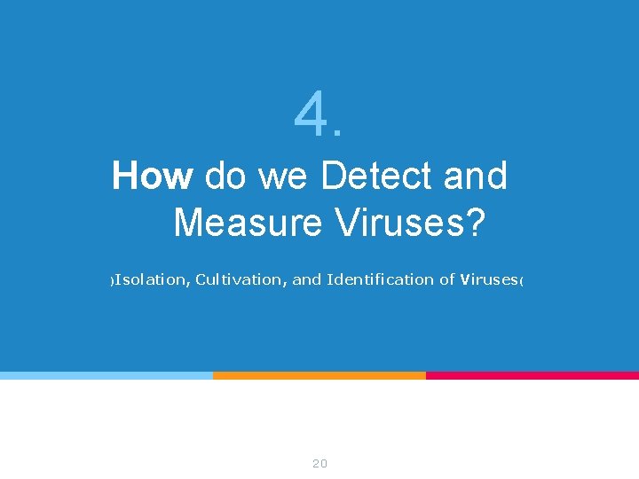 4. How do we Detect and Measure Viruses? )Isolation, Cultivation, and Identification of Viruses 4. How do we Detect and Measure Viruses? )Isolation, Cultivation, and Identification of Viruses