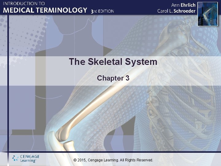 The Skeletal System Chapter 3 © 2015, Cengage Learning. All Rights Reserved. 