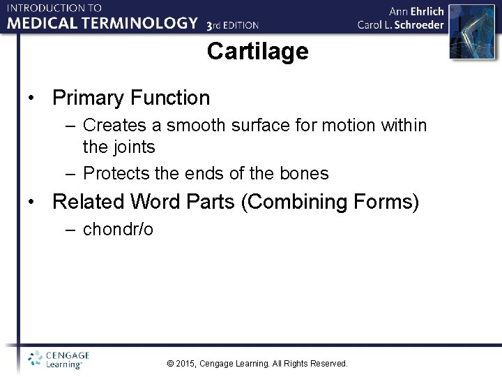 Cartilage • Primary Function – Creates a smooth surface for motion within the joints