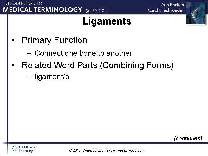 Ligaments • Primary Function – Connect one bone to another • Related Word Parts