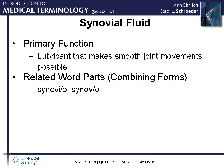 Synovial Fluid • Primary Function – Lubricant that makes smooth joint movements possible •