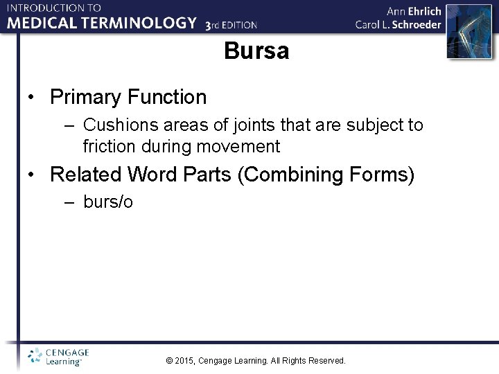Bursa • Primary Function – Cushions areas of joints that are subject to friction