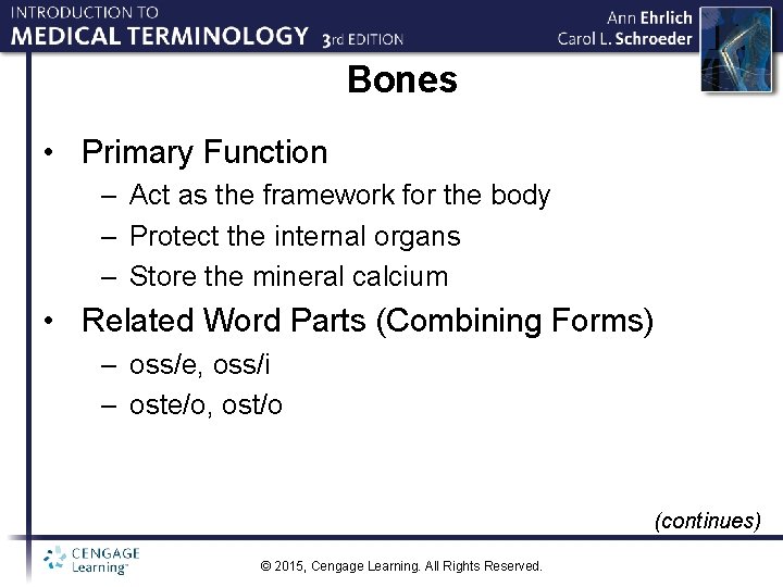 Bones • Primary Function – Act as the framework for the body – Protect