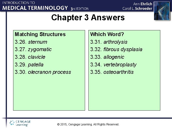 Chapter 3 Answers Matching Structures 3. 26. sternum 3. 27. zygomatic 3. 28. clavicle