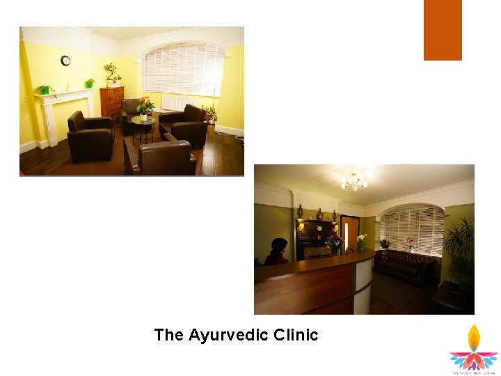 The Ayurvedic Clinic 