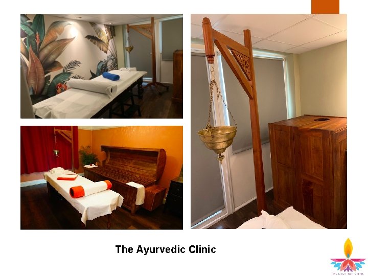 The Ayurvedic Clinic 