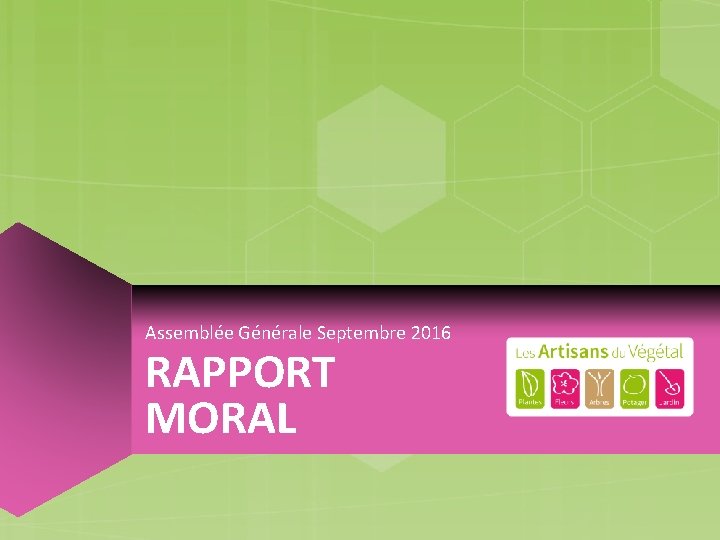 Assemblée Générale Septembre 2016 RAPPORT MORAL 